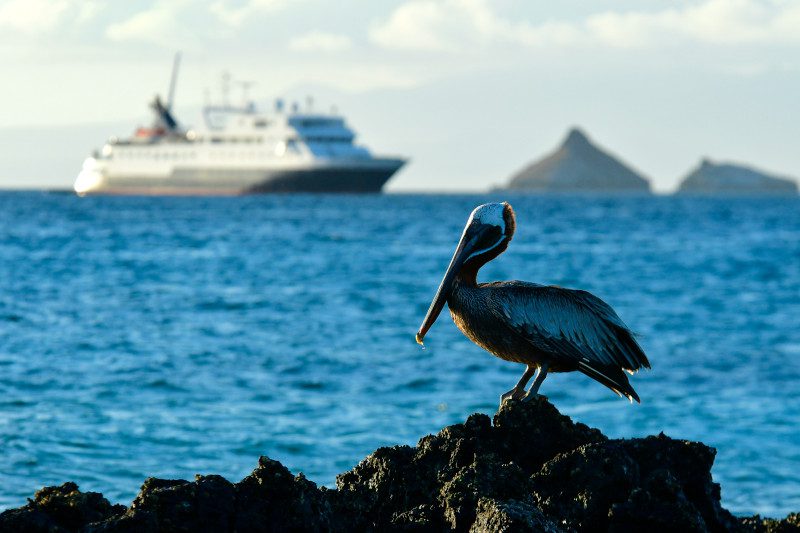 deep blue travel cruises